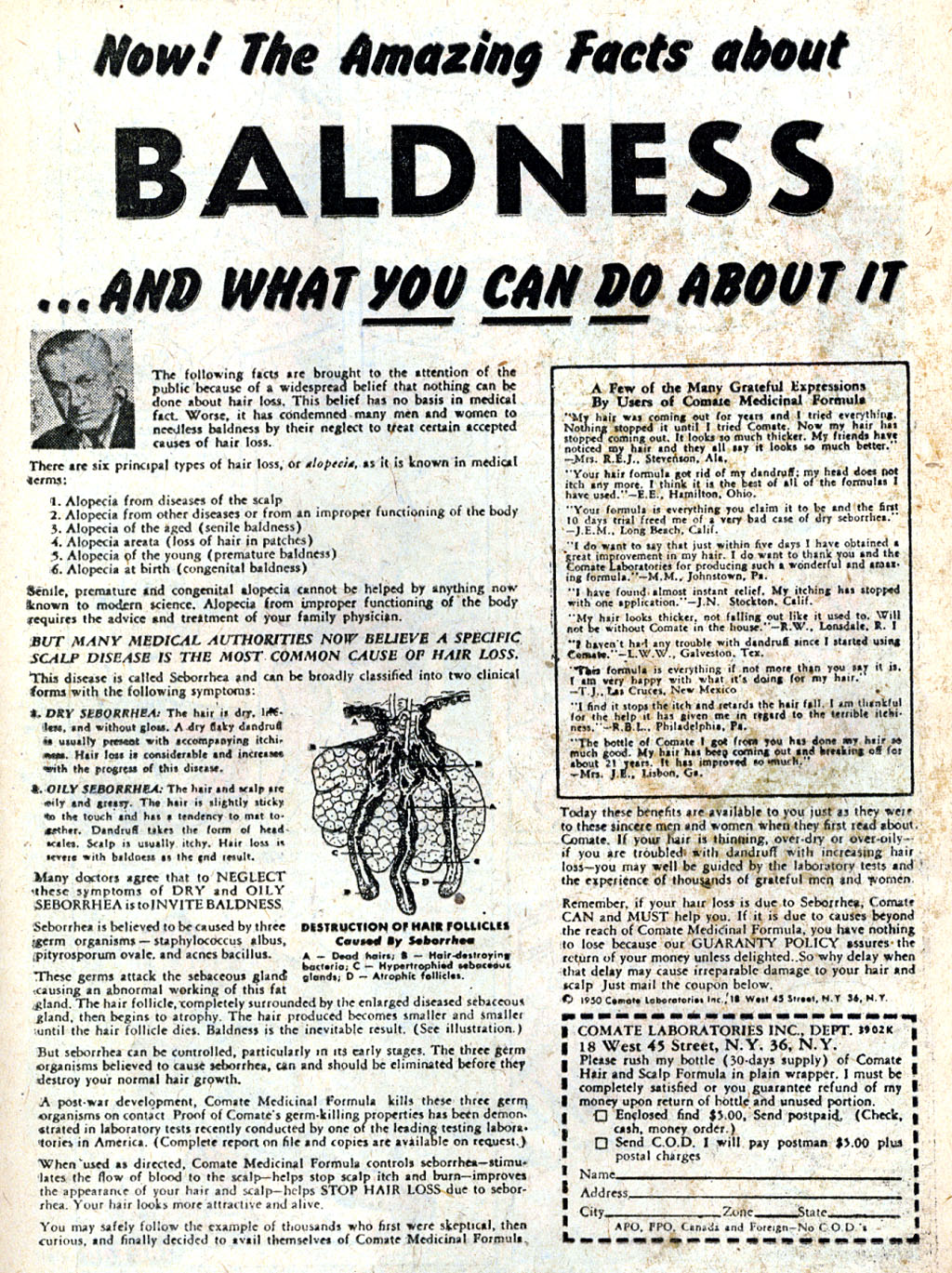 Read online Wild comic -  Issue #4 - 13