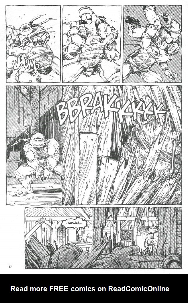 Read online Teenage Mutant Ninja Turtles (1984) comic -  Issue #19 - 16