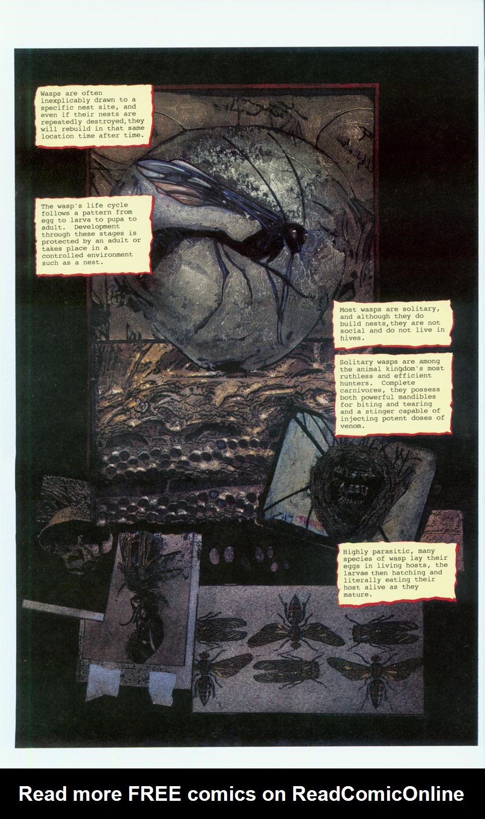 Read online Primal comic -  Issue # _TPB - 64