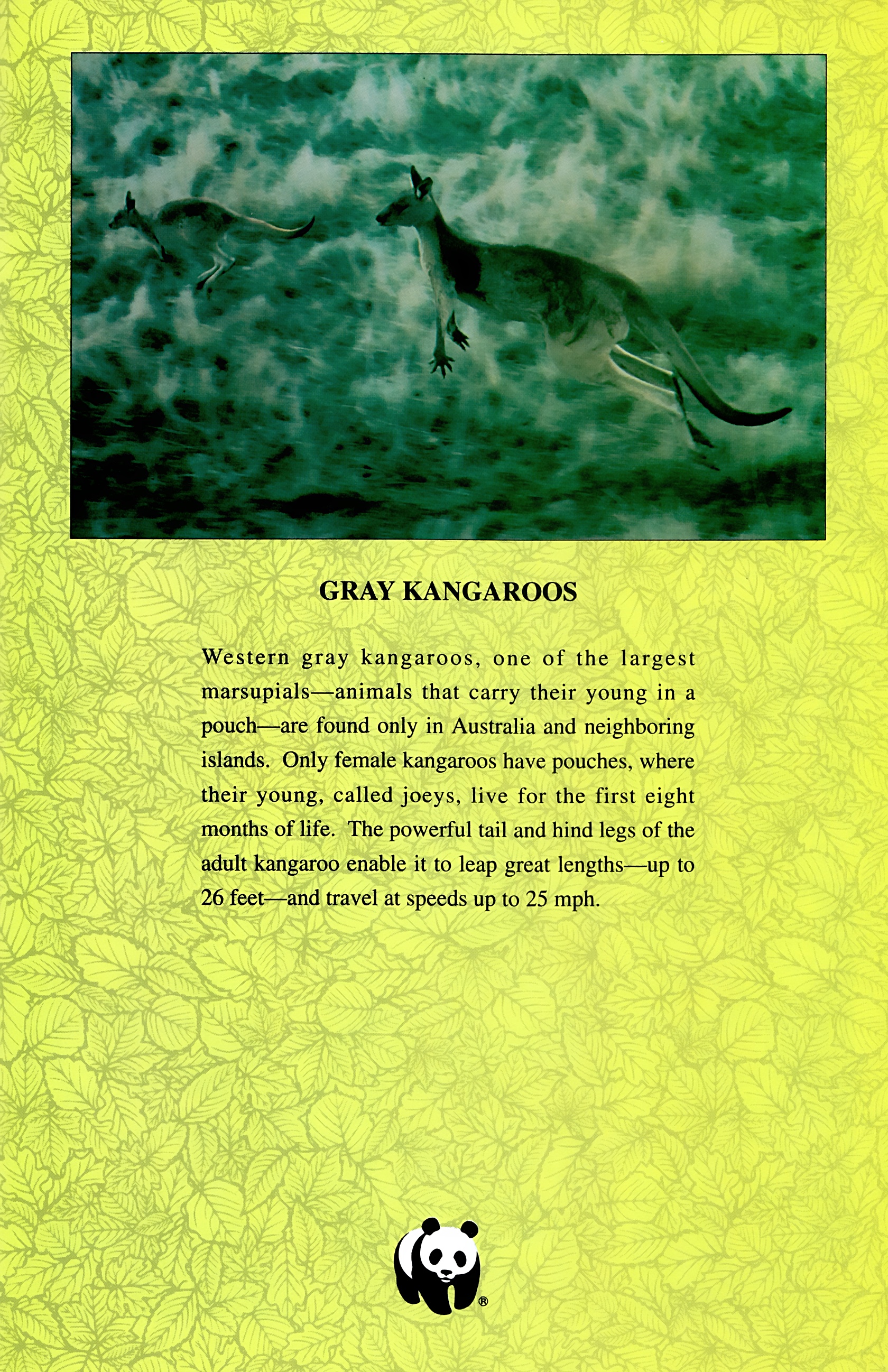 Read online Wolverine: Global Jeopardy comic -  Issue # Full - 25