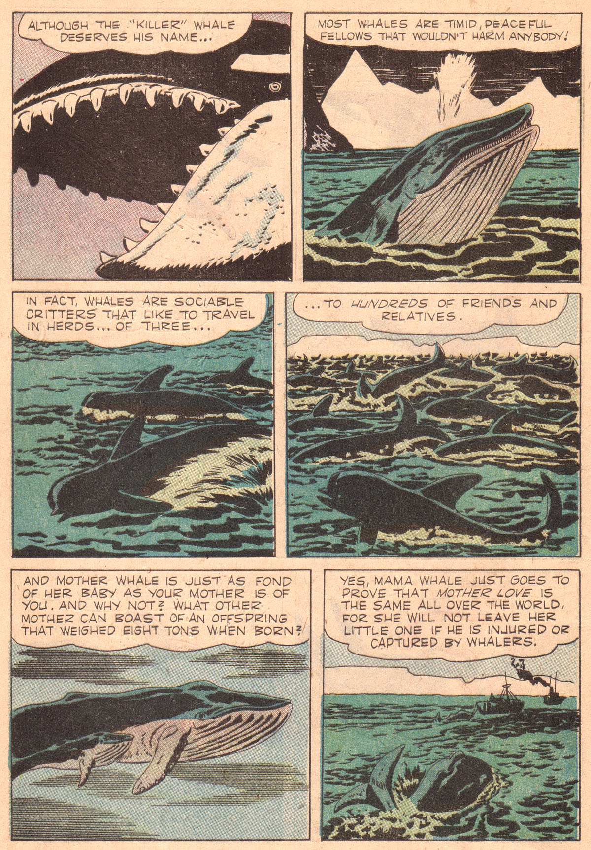 Read online Four Color Comics comic -  Issue #842 - 9