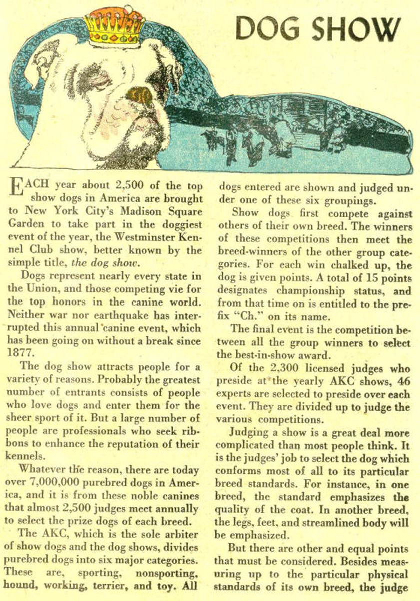 Read online The Adventures of Rex the Wonder Dog comic -  Issue #23 - 23