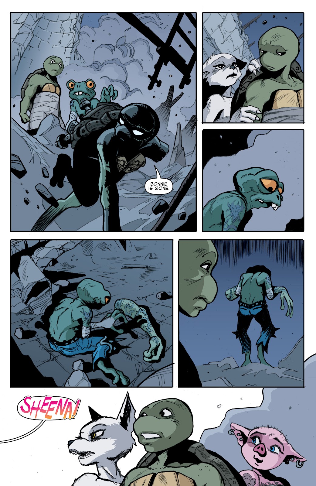 Teenage Mutant Ninja Turtles (2011) issue 130 - Page 13