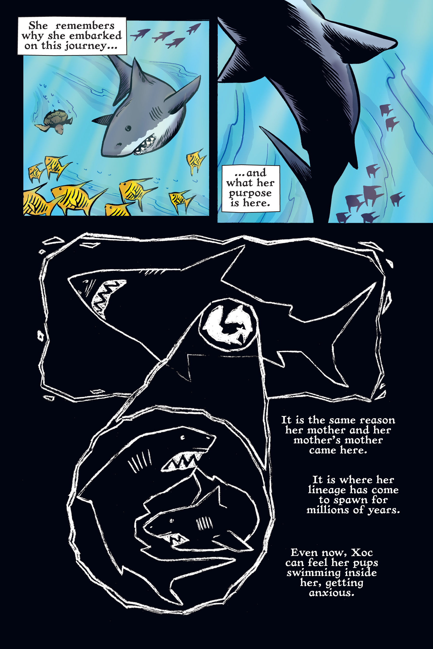 Read online Xoc: Journey of a Great White comic -  Issue # TPB - 99
