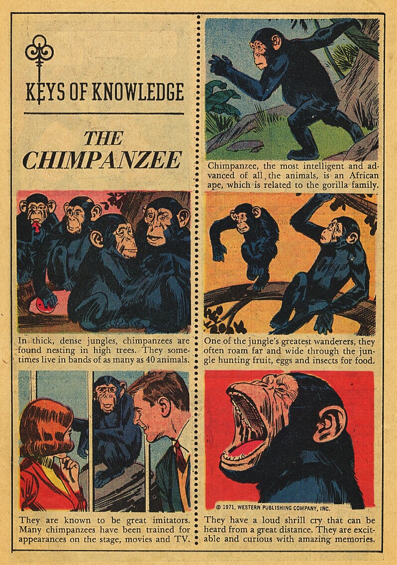 Read online Dark Shadows (1969) comic -  Issue #12 - 18
