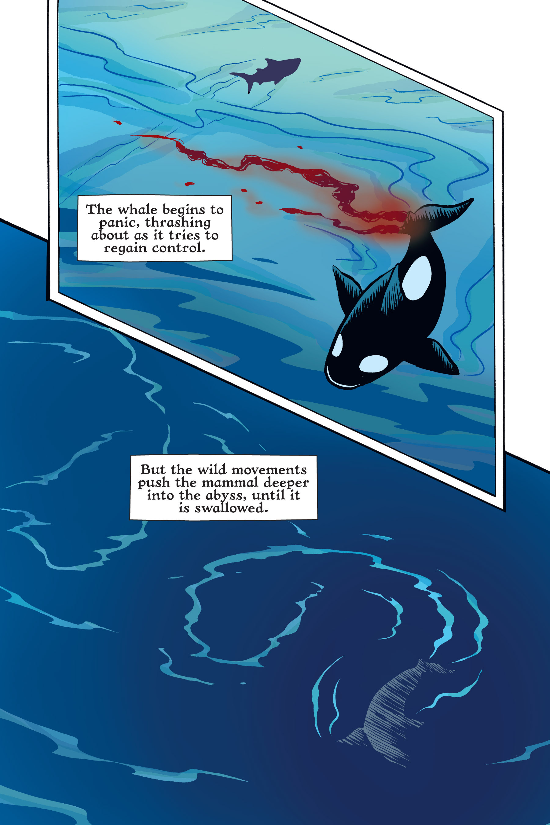 Read online Xoc: Journey of a Great White comic -  Issue # TPB - 122