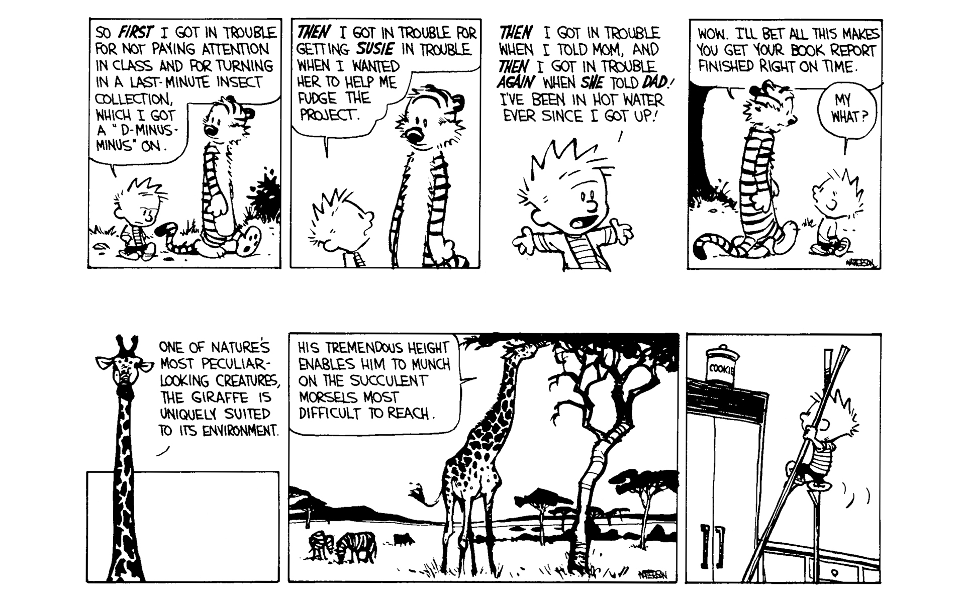 Read online Calvin and Hobbes comic -  Issue #5 - 76