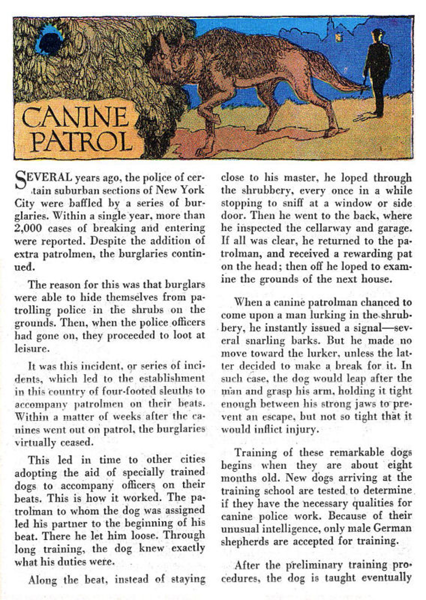 Read online The Adventures of Rex the Wonder Dog comic -  Issue #28 - 23