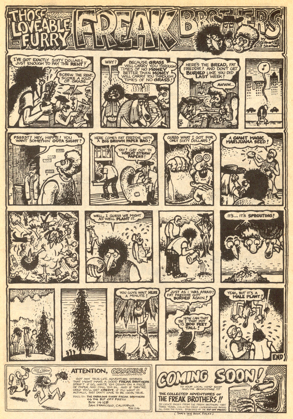Read online The Fabulous Furry Freak Brothers comic -  Issue #1 - 11