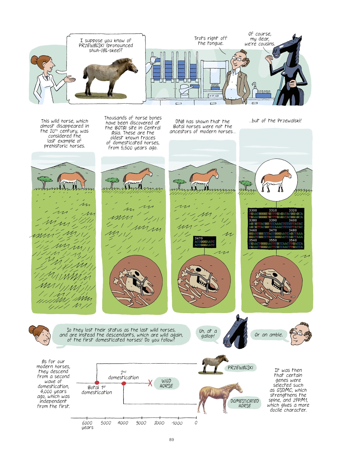 Read online Evolution, Darwin, God, and the Horse-People comic -  Issue # TPB - 88