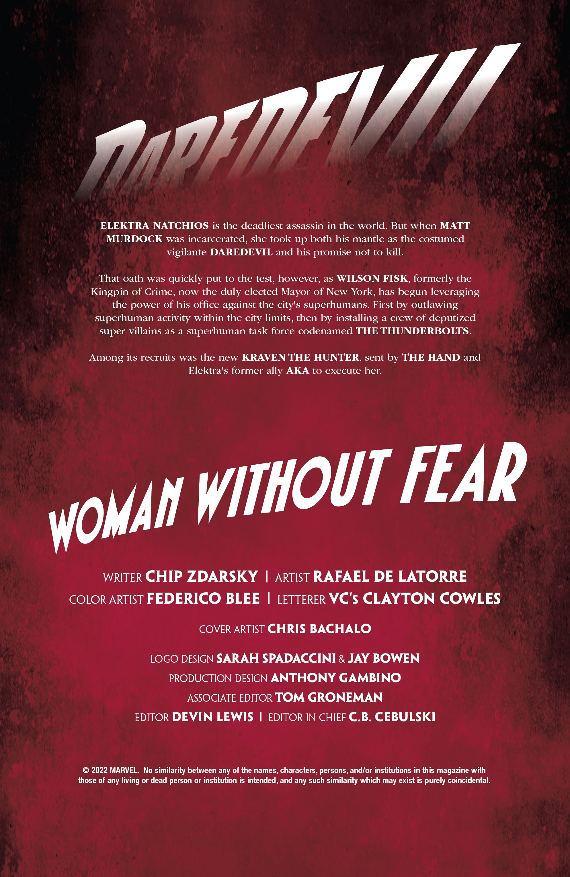 Read online Daredevil: Woman Without Fear comic -  Issue #3 - 2
