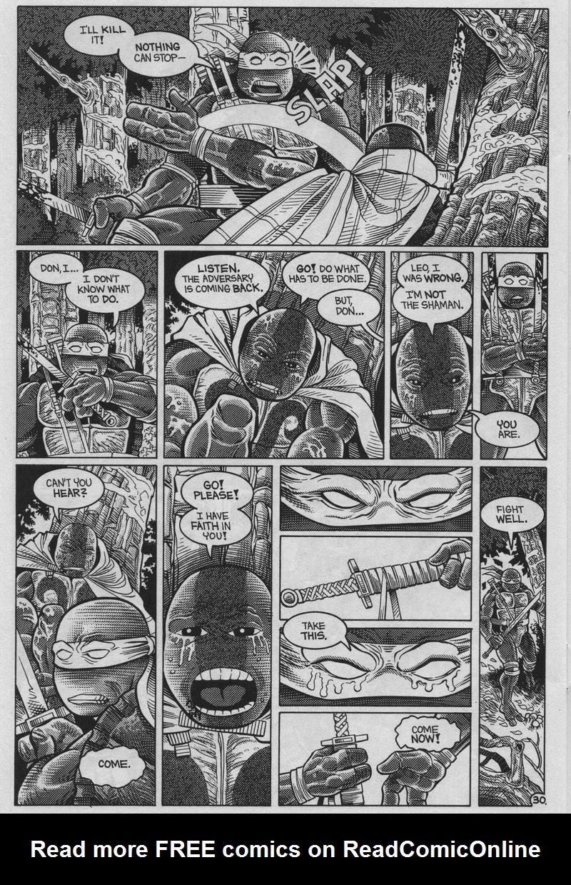 Teenage Mutant Ninja Turtles (1984) Issue #37 #37 - English 30