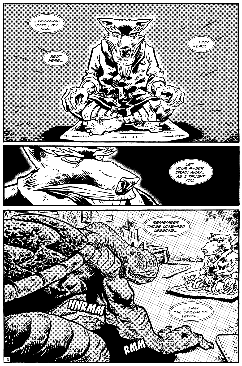 TMNT: Teenage Mutant Ninja Turtles Issue #18 #18 - English 18