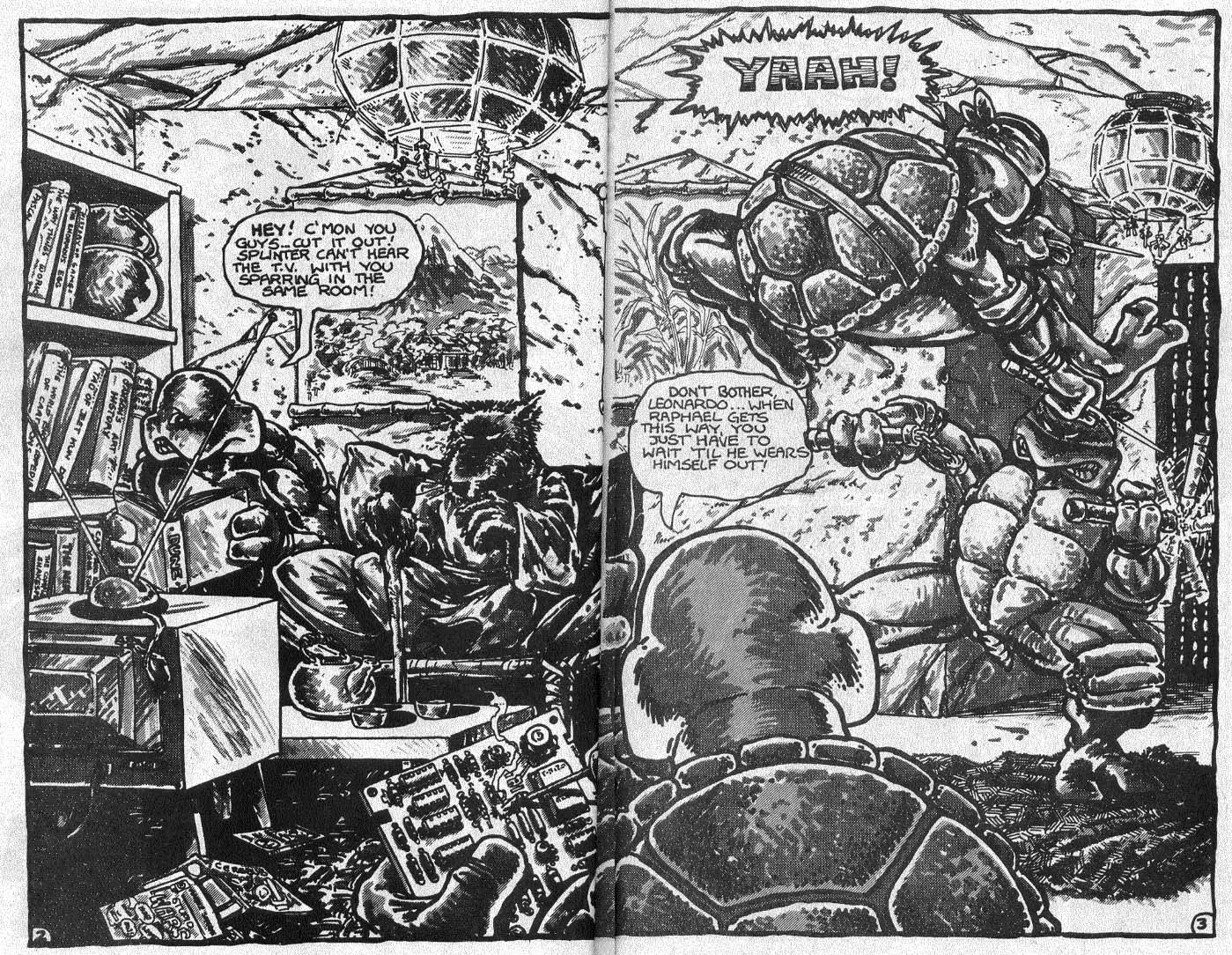 Read online Teenage Mutant Ninja Turtles (1984) comic -  Issue #2 - 5