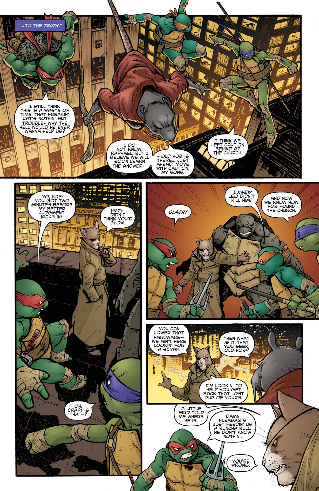 Teenage Mutant Ninja Turtles (2011) issue 23 - Page 19