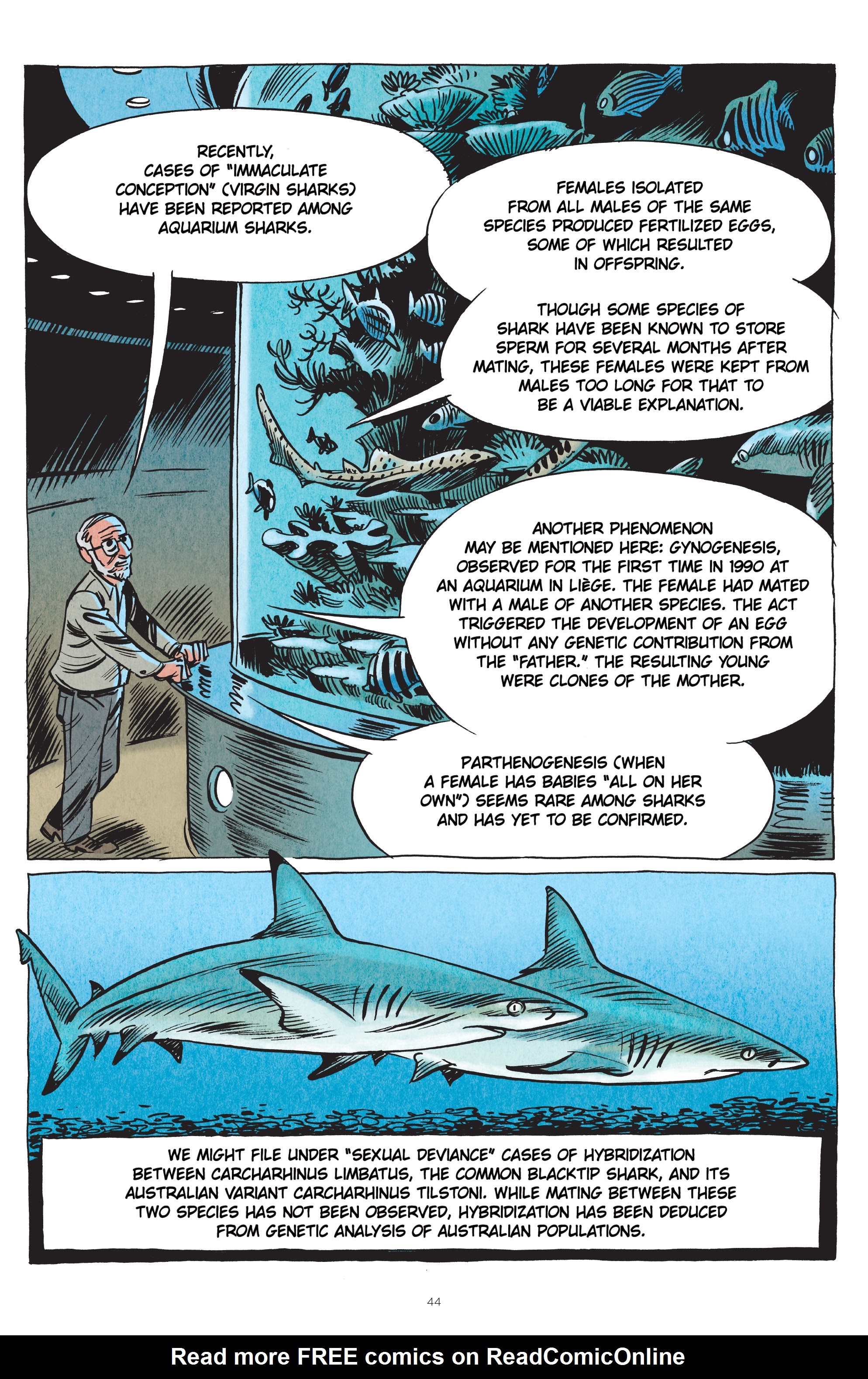 Read online Little Book of Knowledge: Sharks comic -  Issue # TPB - 44