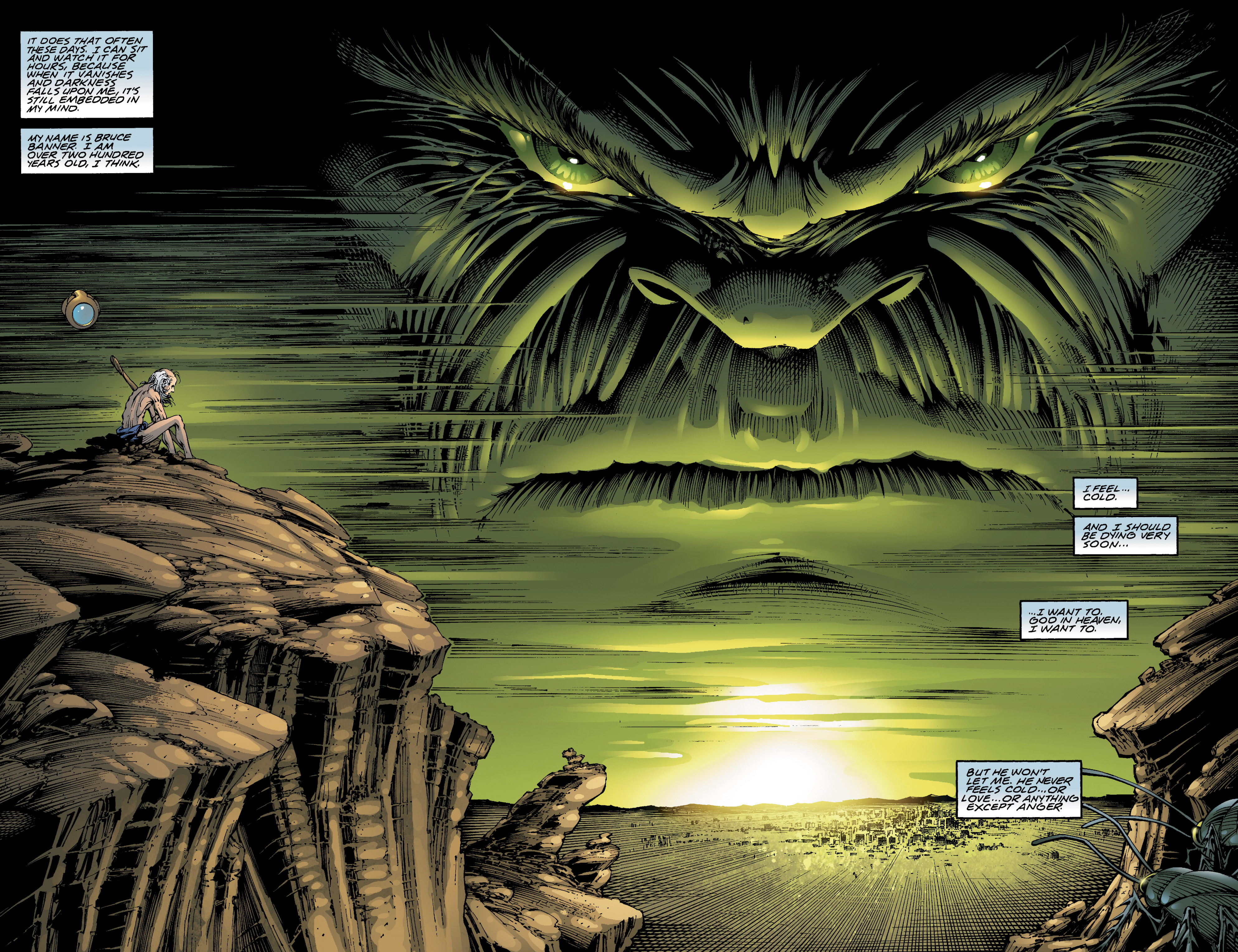 Read online Incredible Hulk: The End comic -  Issue # TPB - 6