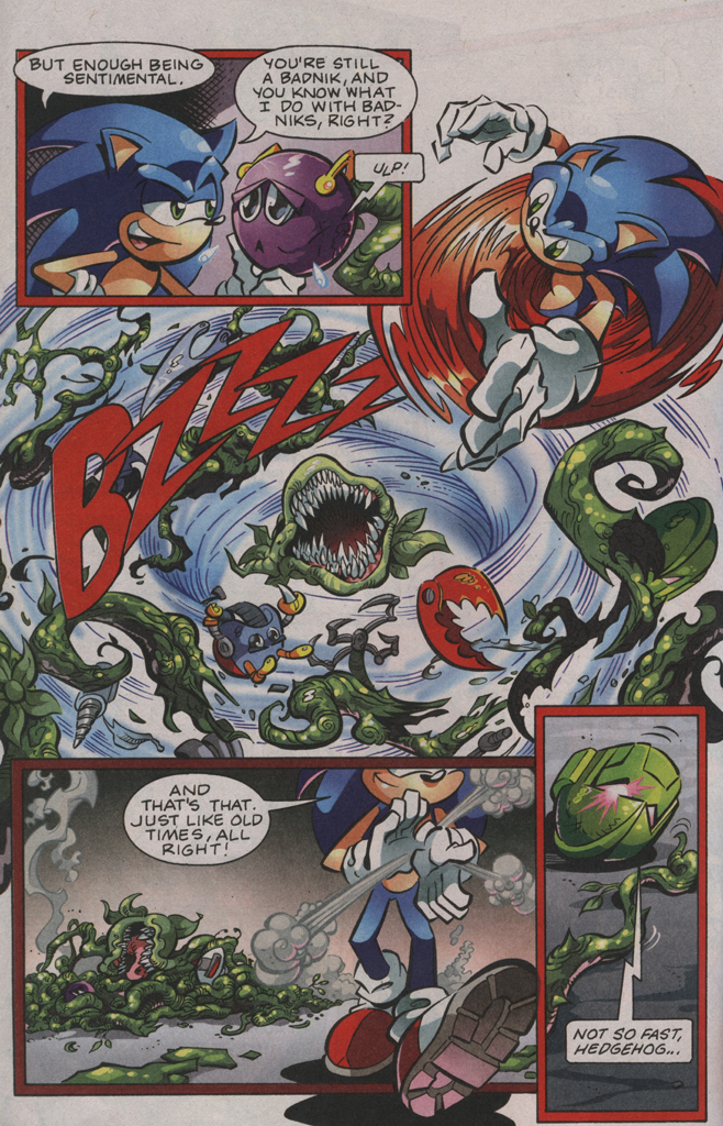 Read online Sonic the Hedgehog Free Comic Book Day Edition comic -  Issue # Special 4 - 22
