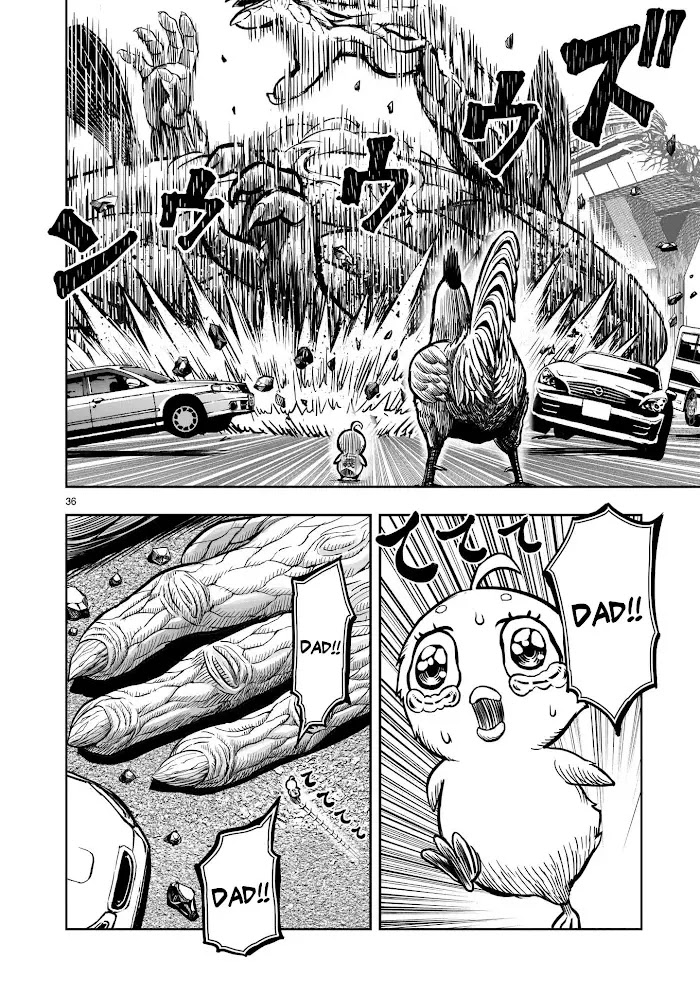 Page 36