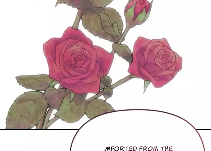 Page 256