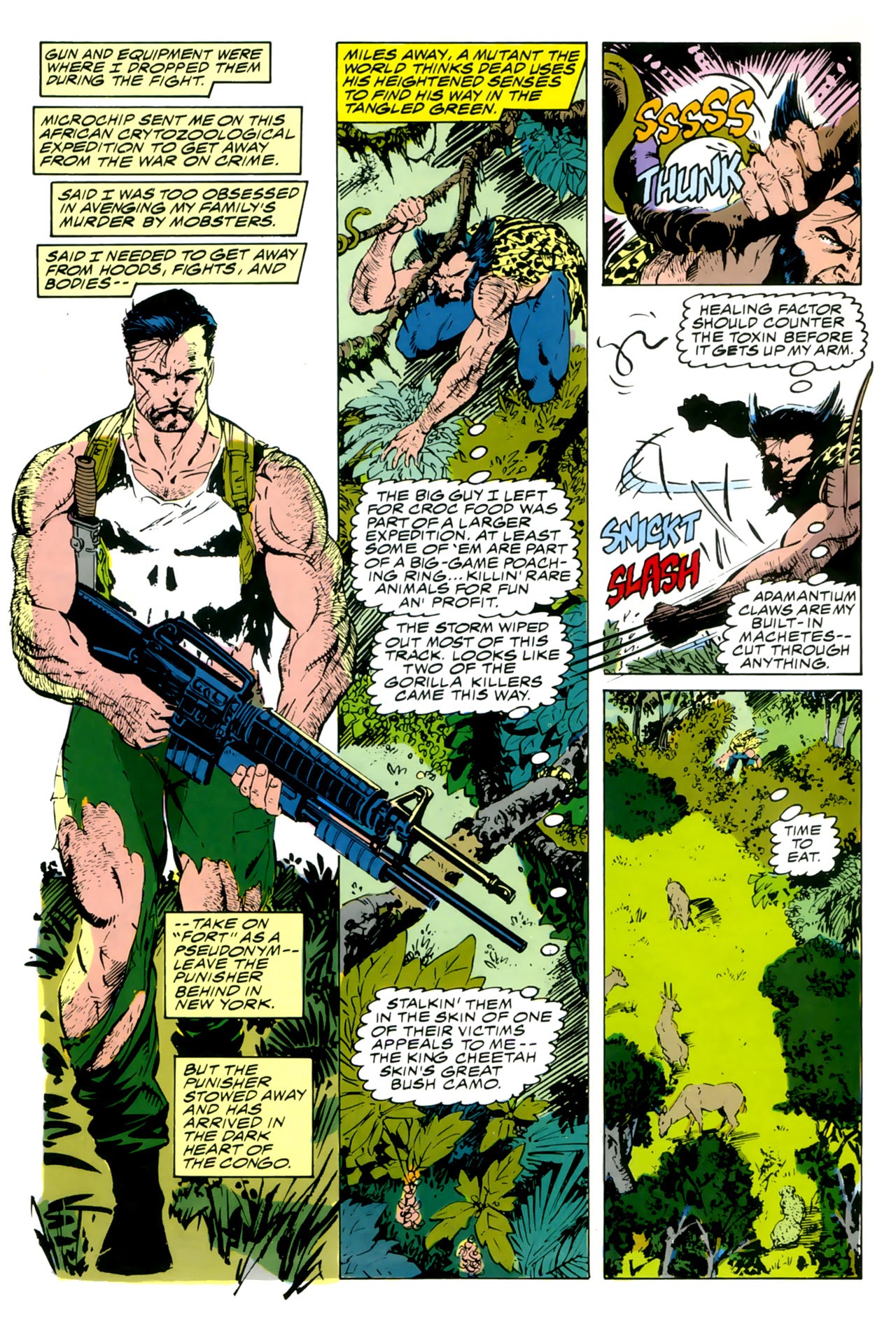 Read online The Punisher and Wolverine in African Saga comic -  Issue # Full - 30