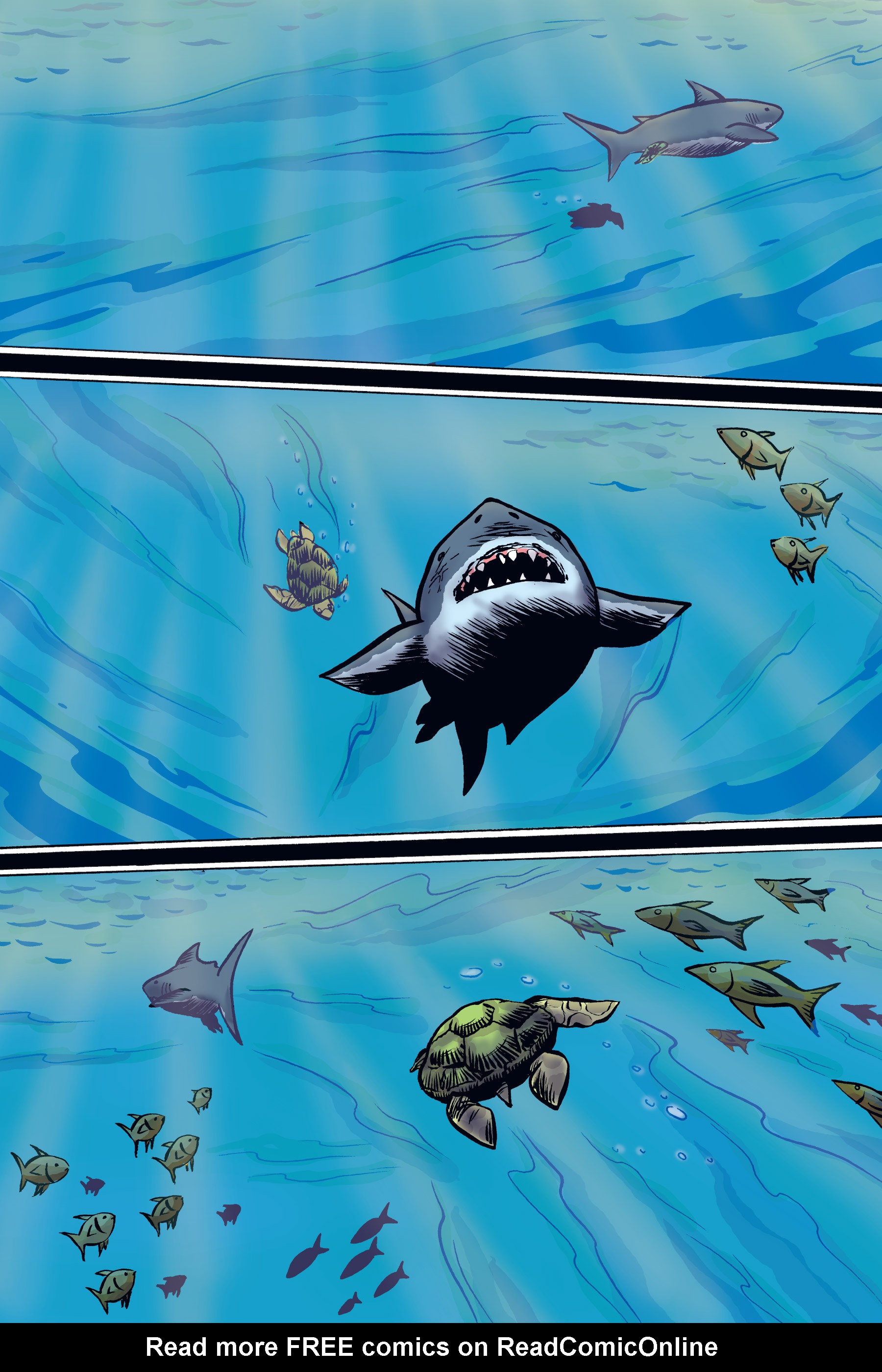 Read online Xoc: Journey of a Great White comic -  Issue # TPB - 83