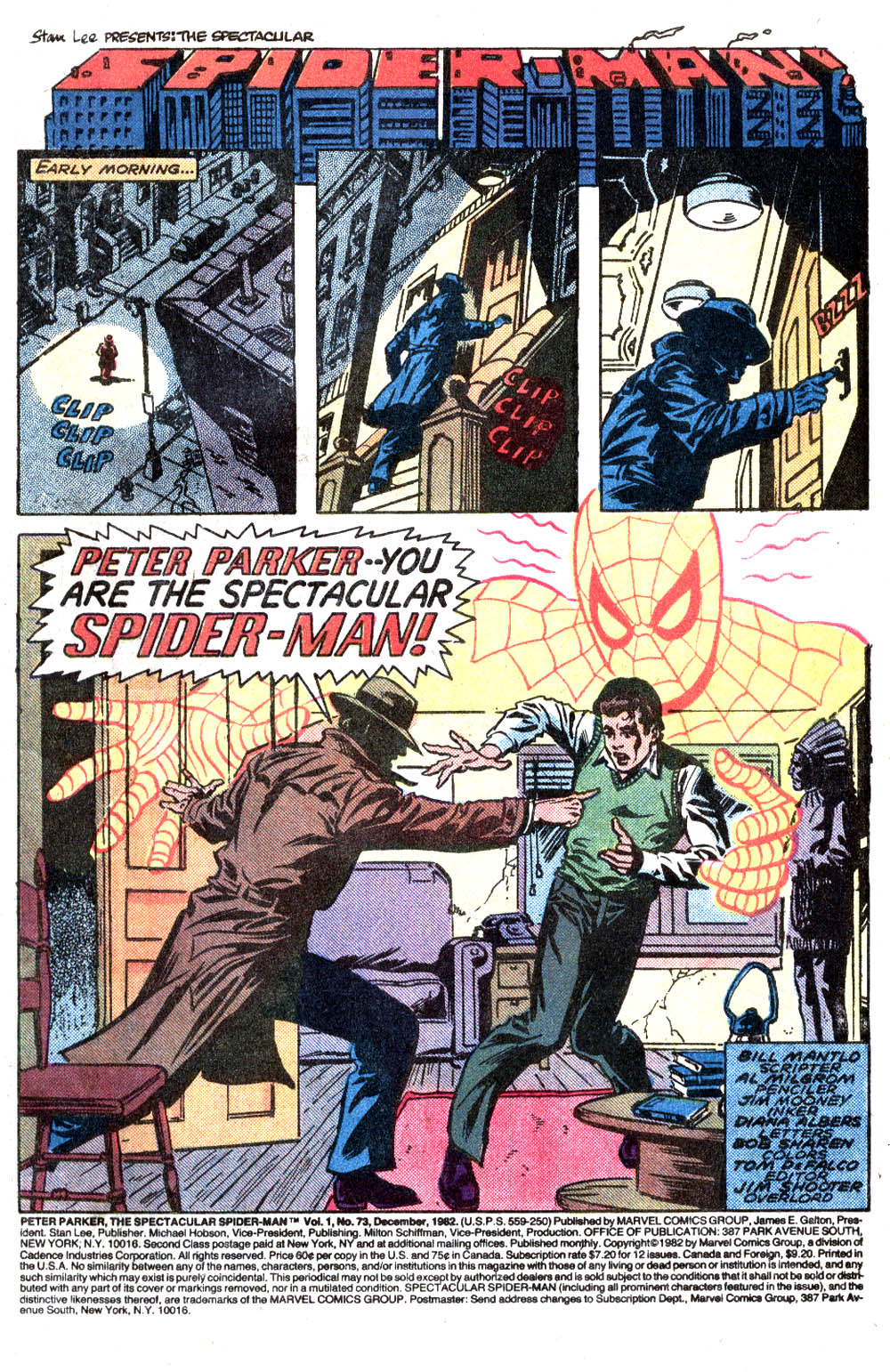 Read online The Spectacular Spider-Man (1976) comic -  Issue #73 - 2