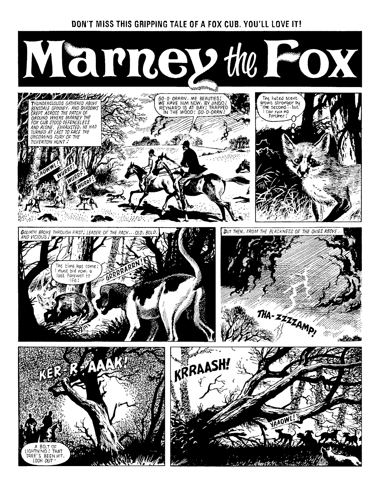 Read online Marney the Fox comic -  Issue # TPB (Part 1) - 43