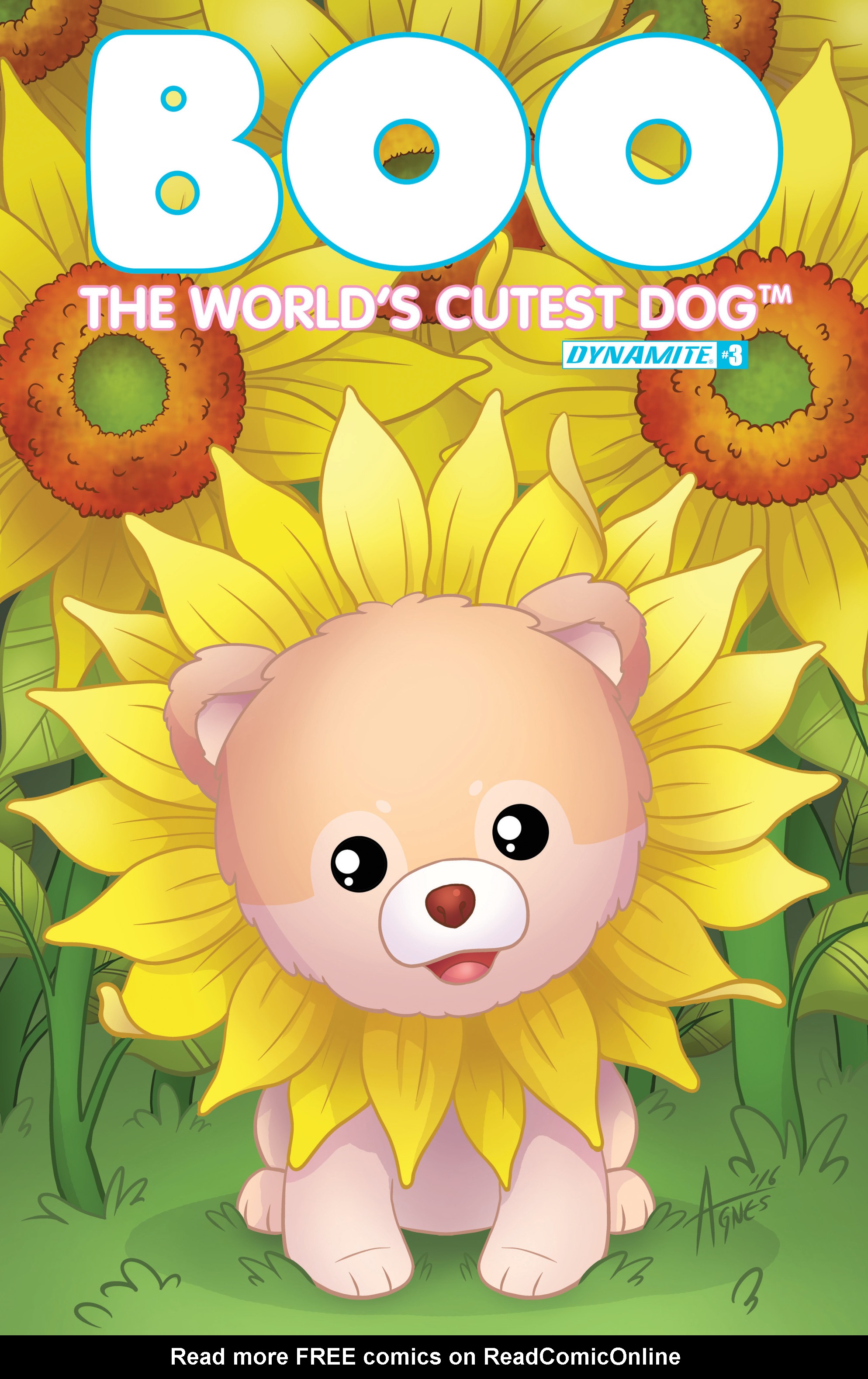 Read online Boo, The World's Cutest Dog comic -  Issue #3 - 1