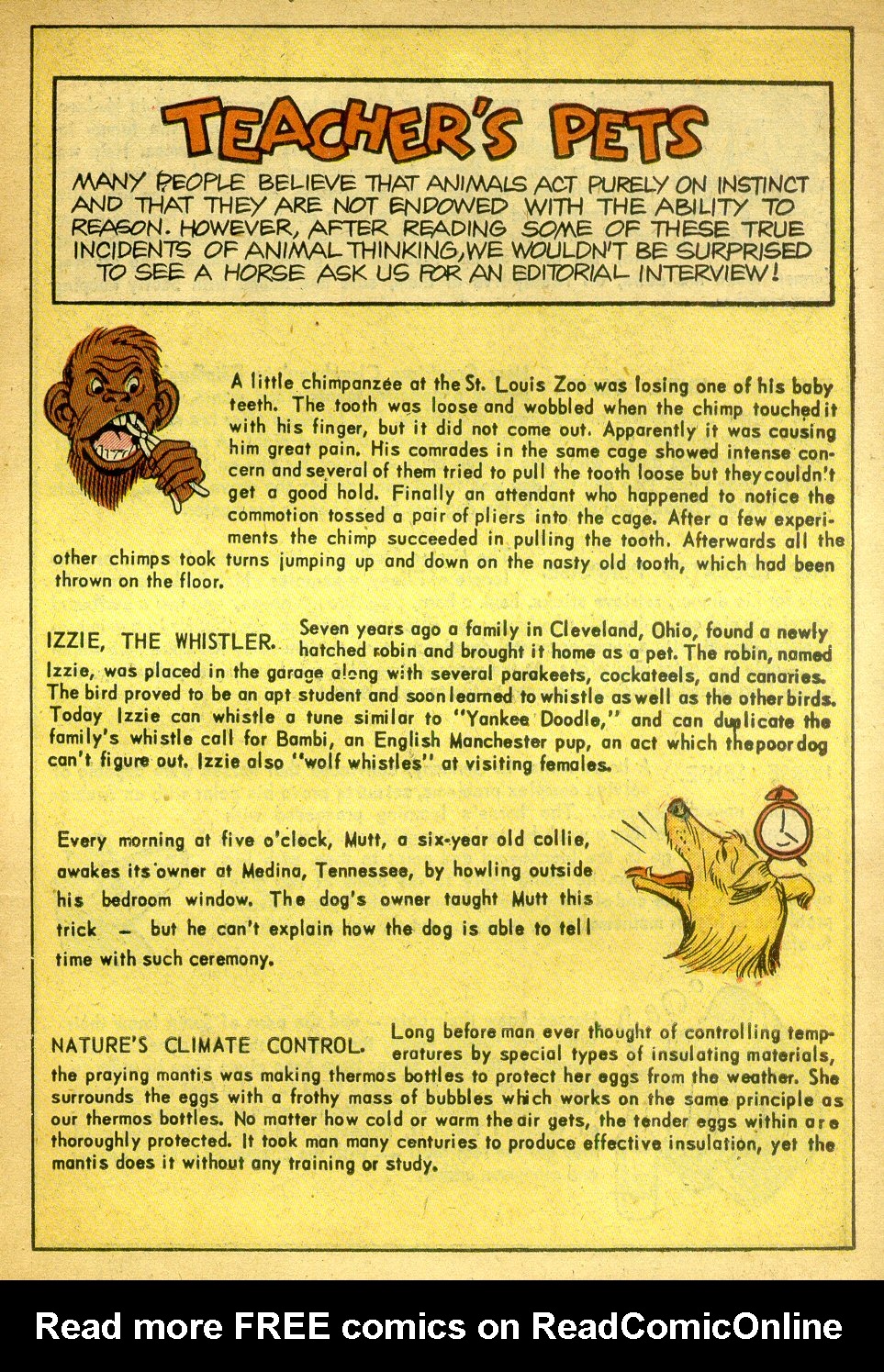 Read online Daredevil (1941) comic -  Issue #115 - 19
