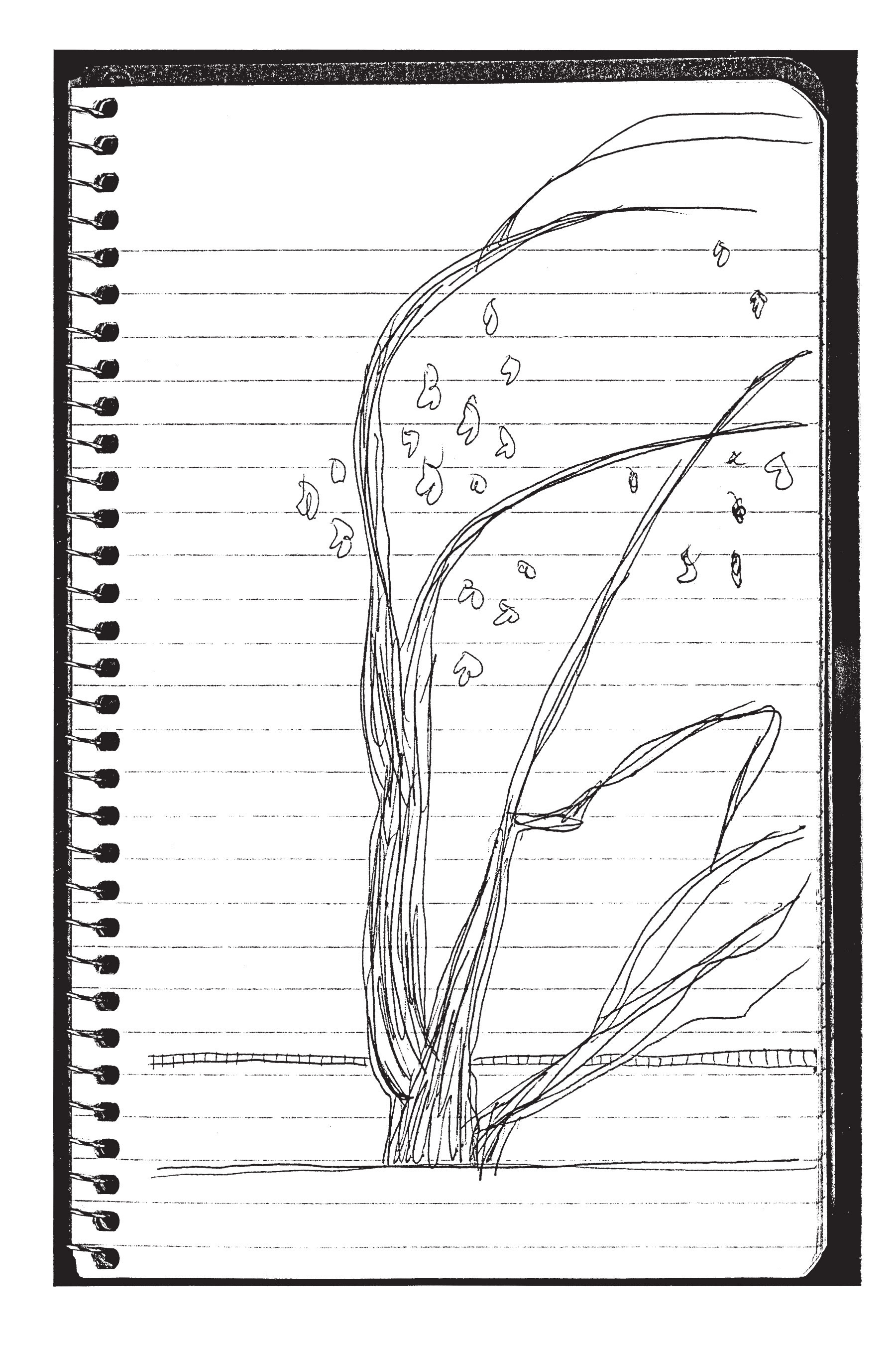 Read online Map of My Heart comic -  Issue # TPB (Part 1) - 38