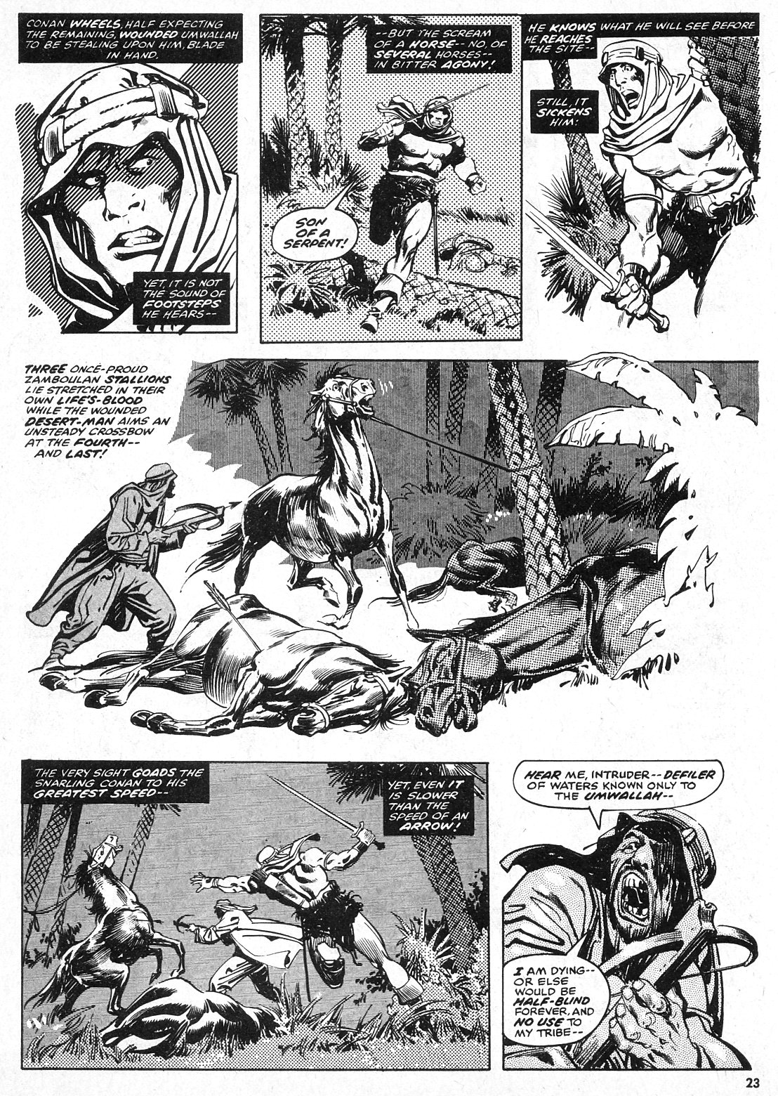 The Savage Sword Of Conan Issue #28 #29 - English 23