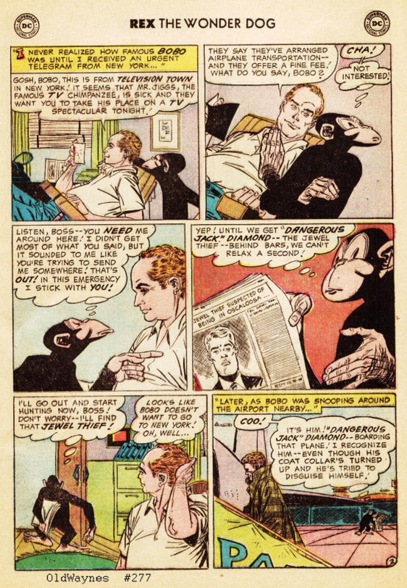 Read online The Adventures of Rex the Wonder Dog comic -  Issue #35 - 13