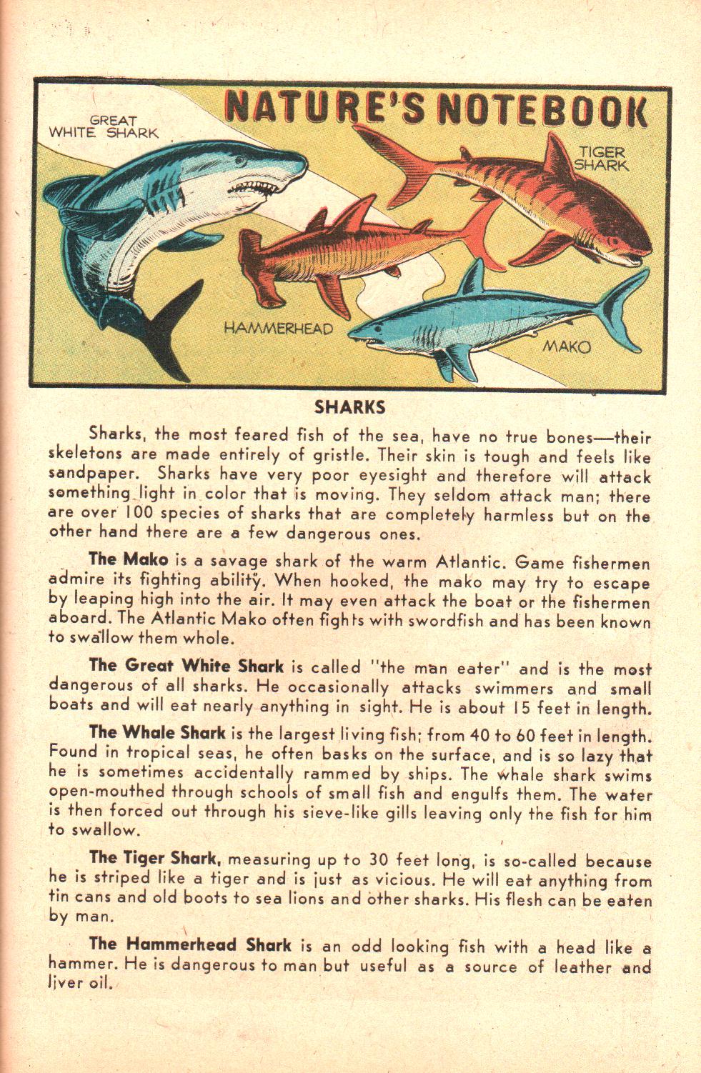 Read online Little Archie (1956) comic -  Issue #6 - 43