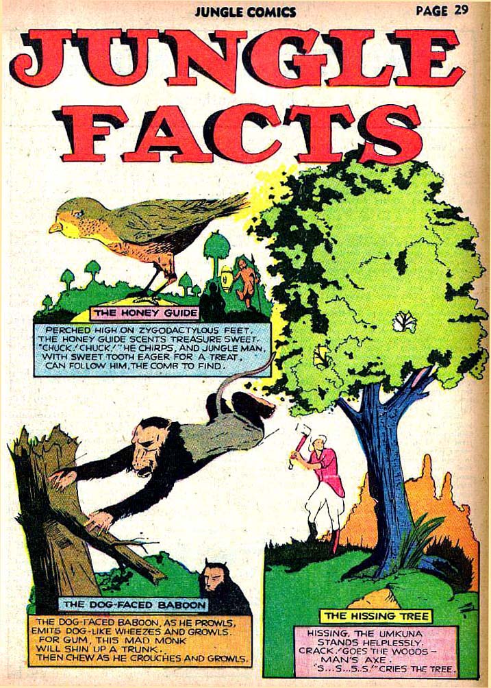 Read online Jungle Comics comic -  Issue #22 - 31