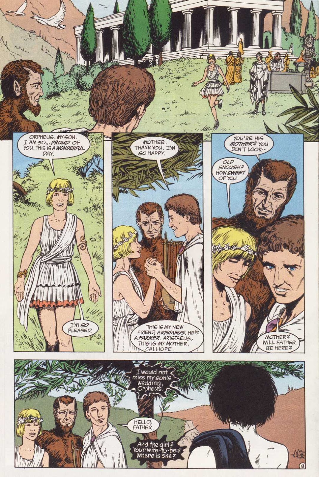 The Sandman (1989) issue Special 1 - Page 5