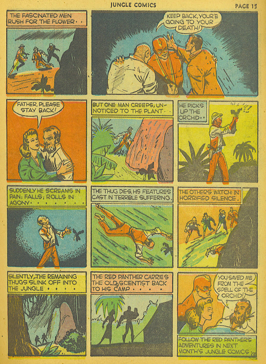 Read online Jungle Comics comic -  Issue #6 - 17
