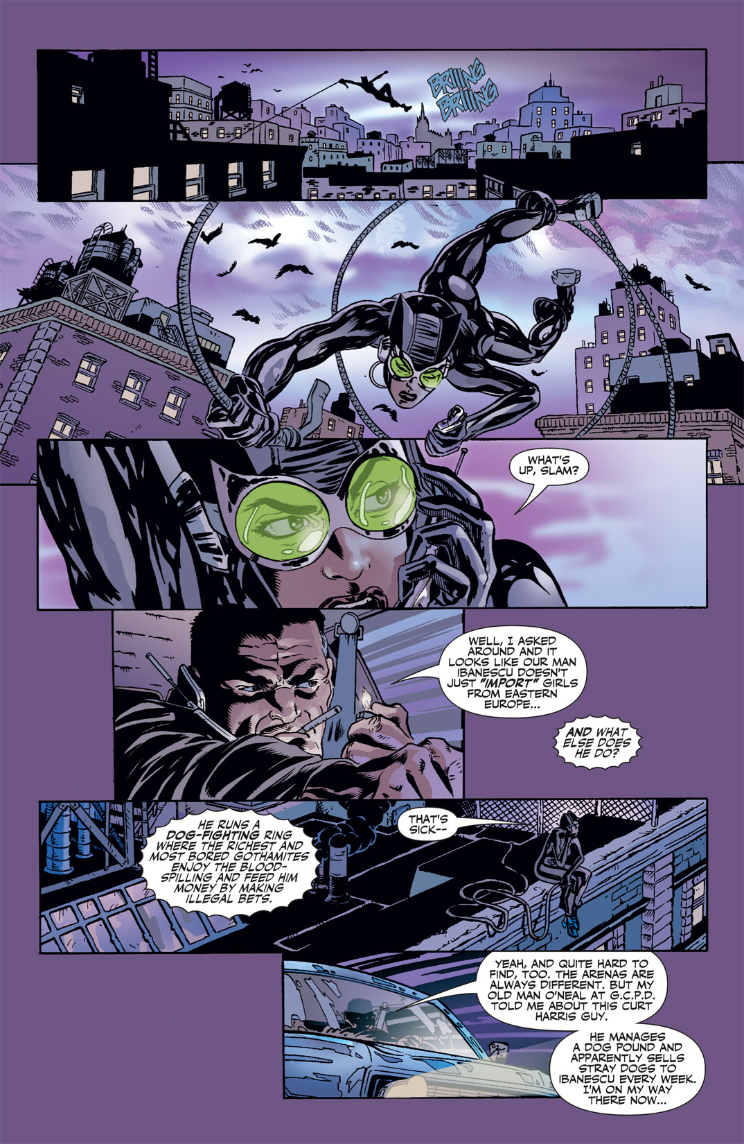 Read online Catwoman (2002) comic -  Issue #41 - 18