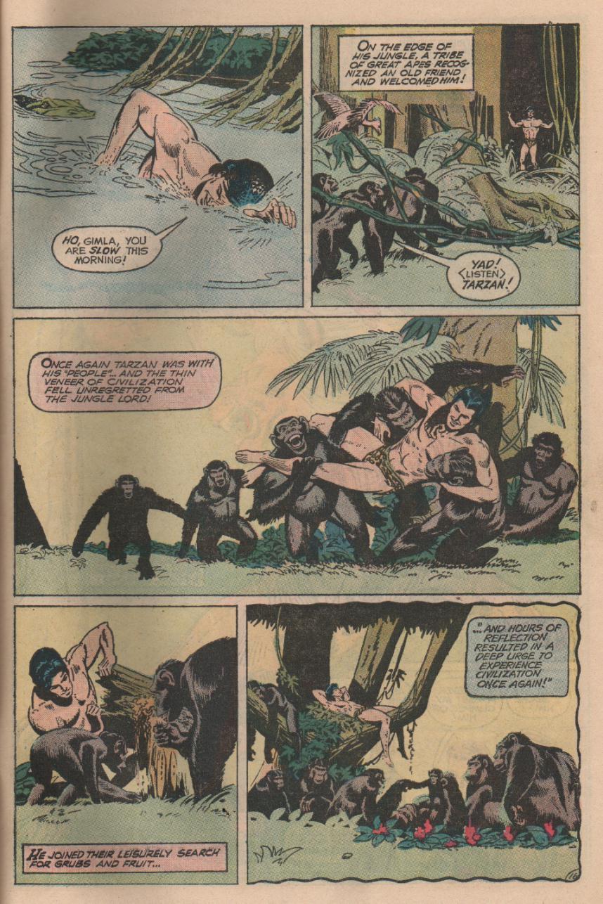Read online Tarzan (1972) comic -  Issue #226 - 17