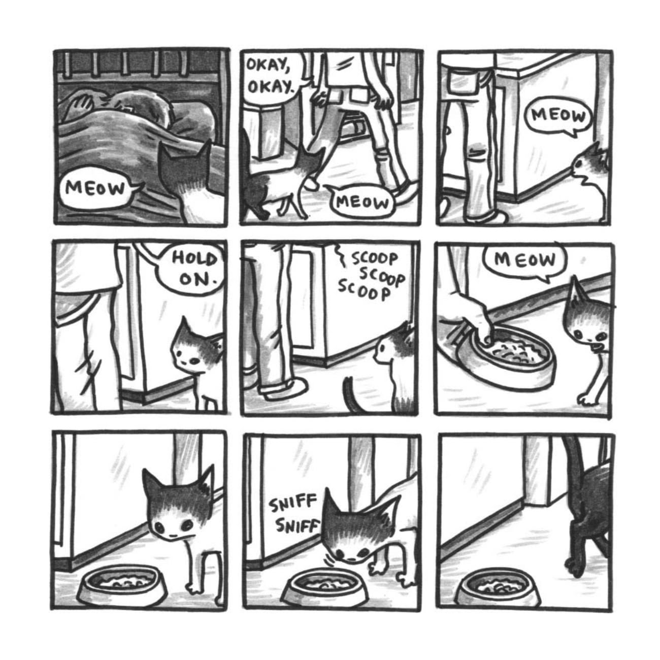 Read online Cats are Weird and More Observations comic -  Issue # TPB - 93