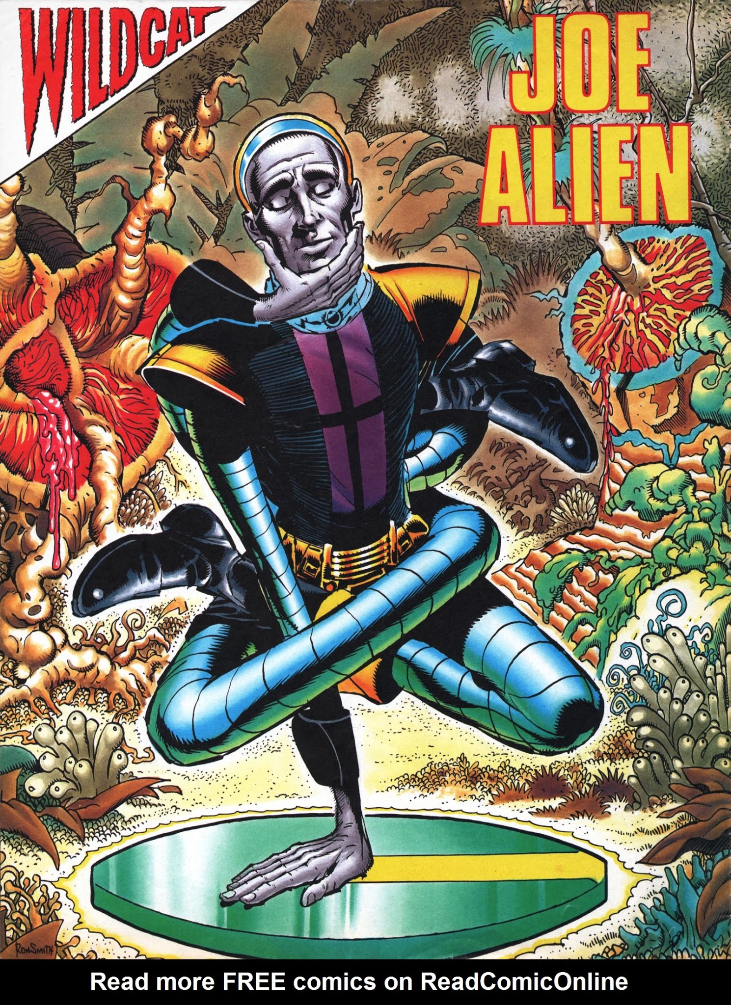 Read online Wildcat comic -  Issue #2 - 32