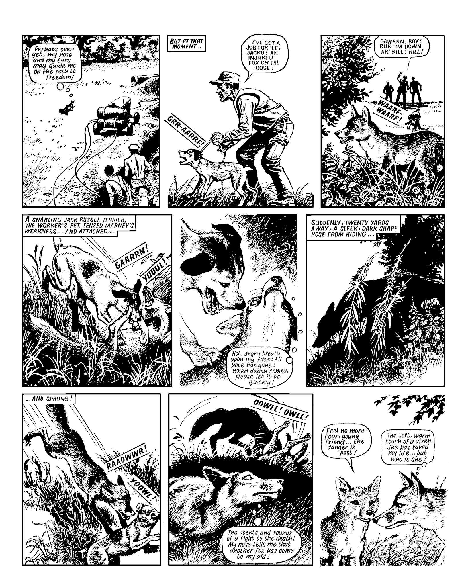 Read online Marney the Fox comic -  Issue # TPB (Part 2) - 123