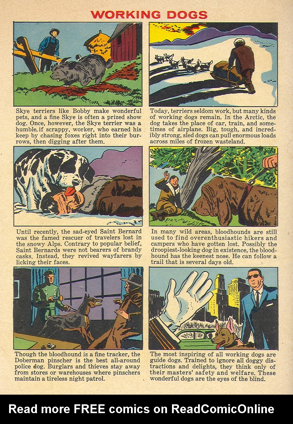 Read online Four Color Comics comic -  Issue #1189 - 36