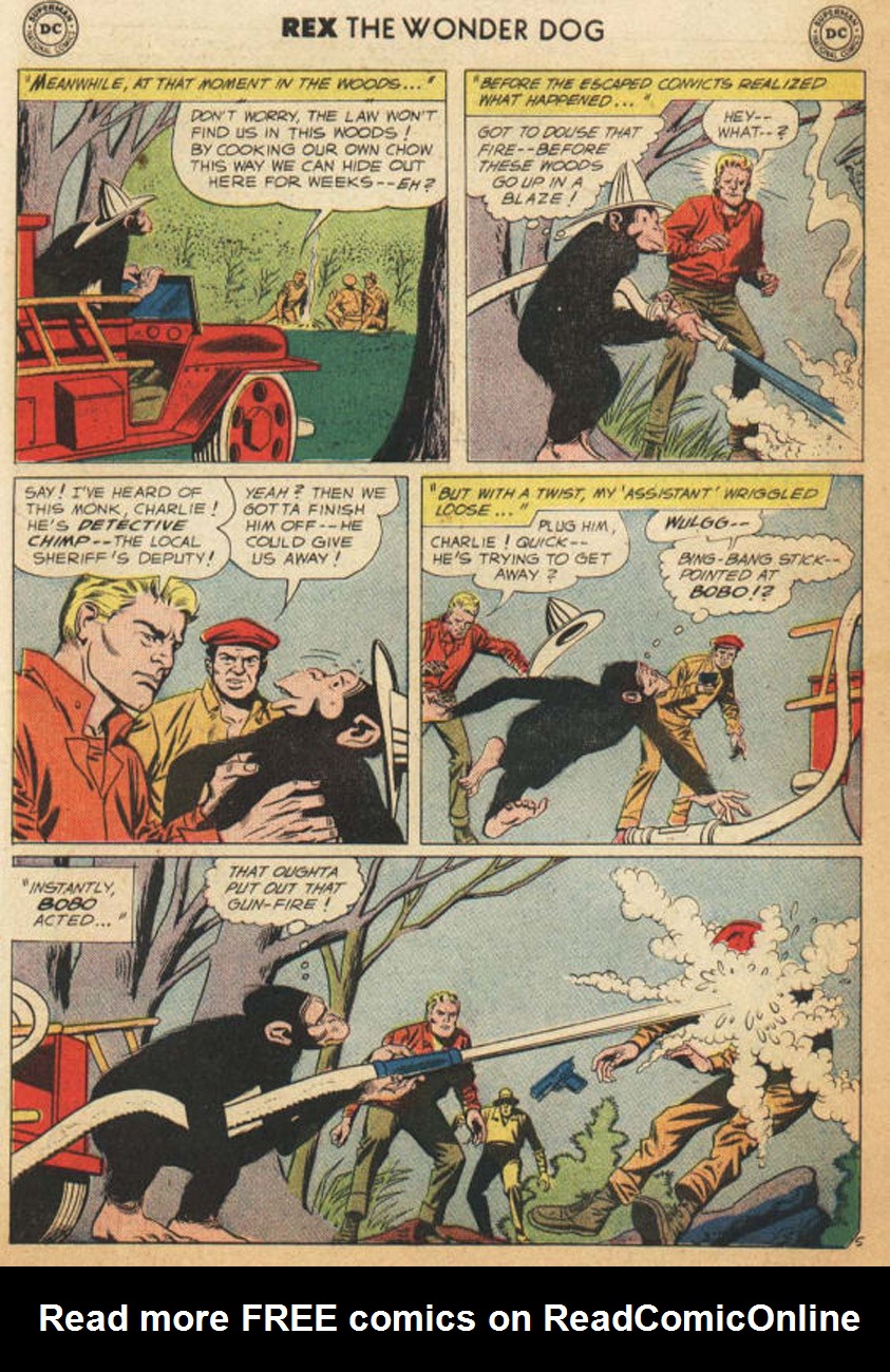 Read online The Adventures of Rex the Wonder Dog comic -  Issue #44 - 17