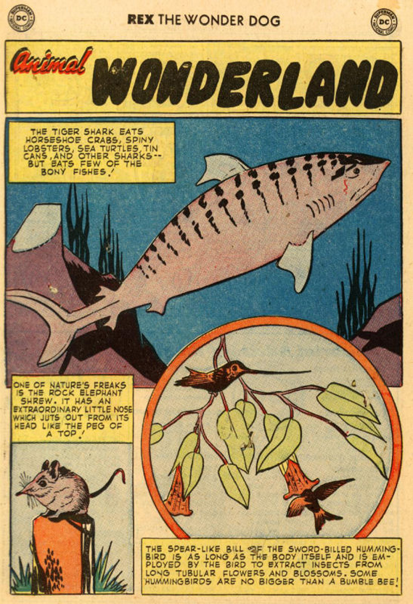Read online The Adventures of Rex the Wonder Dog comic -  Issue #11 - 14
