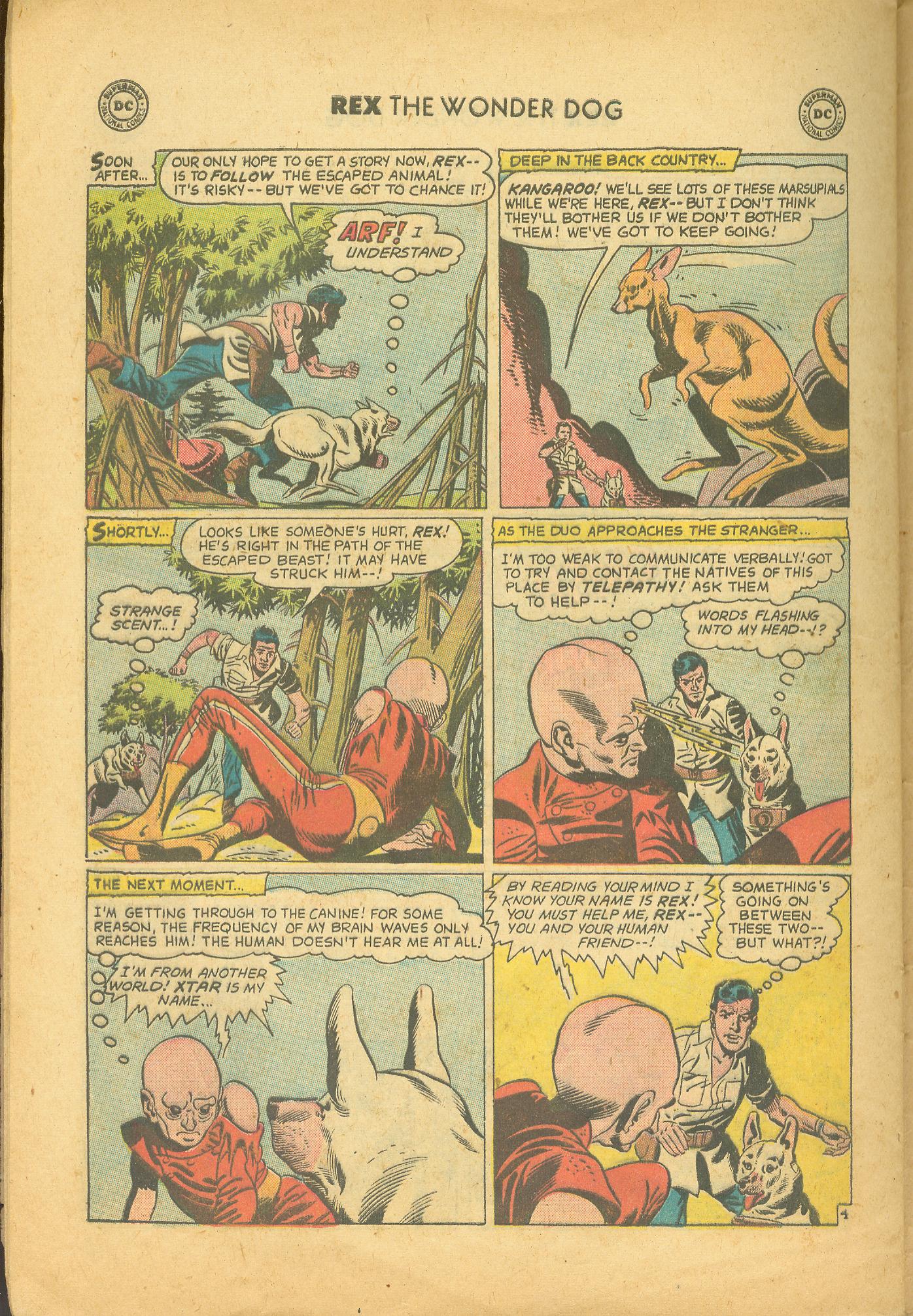 Read online The Adventures of Rex the Wonder Dog comic -  Issue #39 - 28