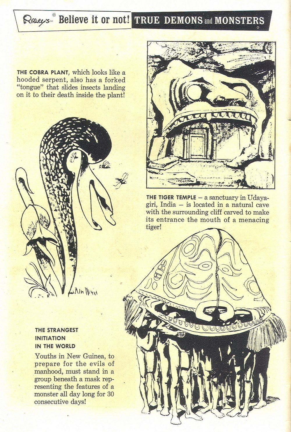 Read online Ripley's Believe it or Not! (1965) comic -  Issue #7 - 2