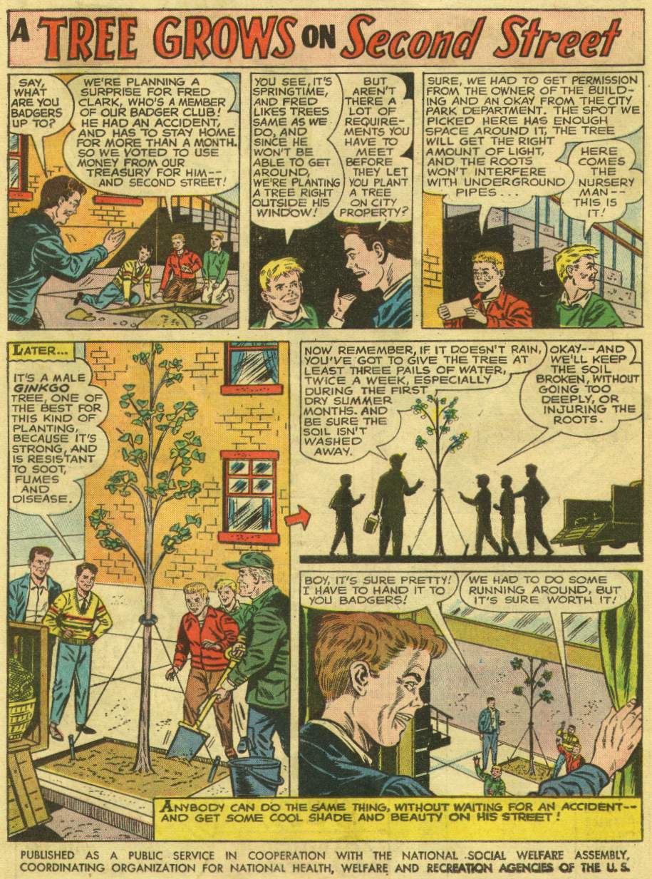 Aquaman (1962) Issue #10 #10 - English 22