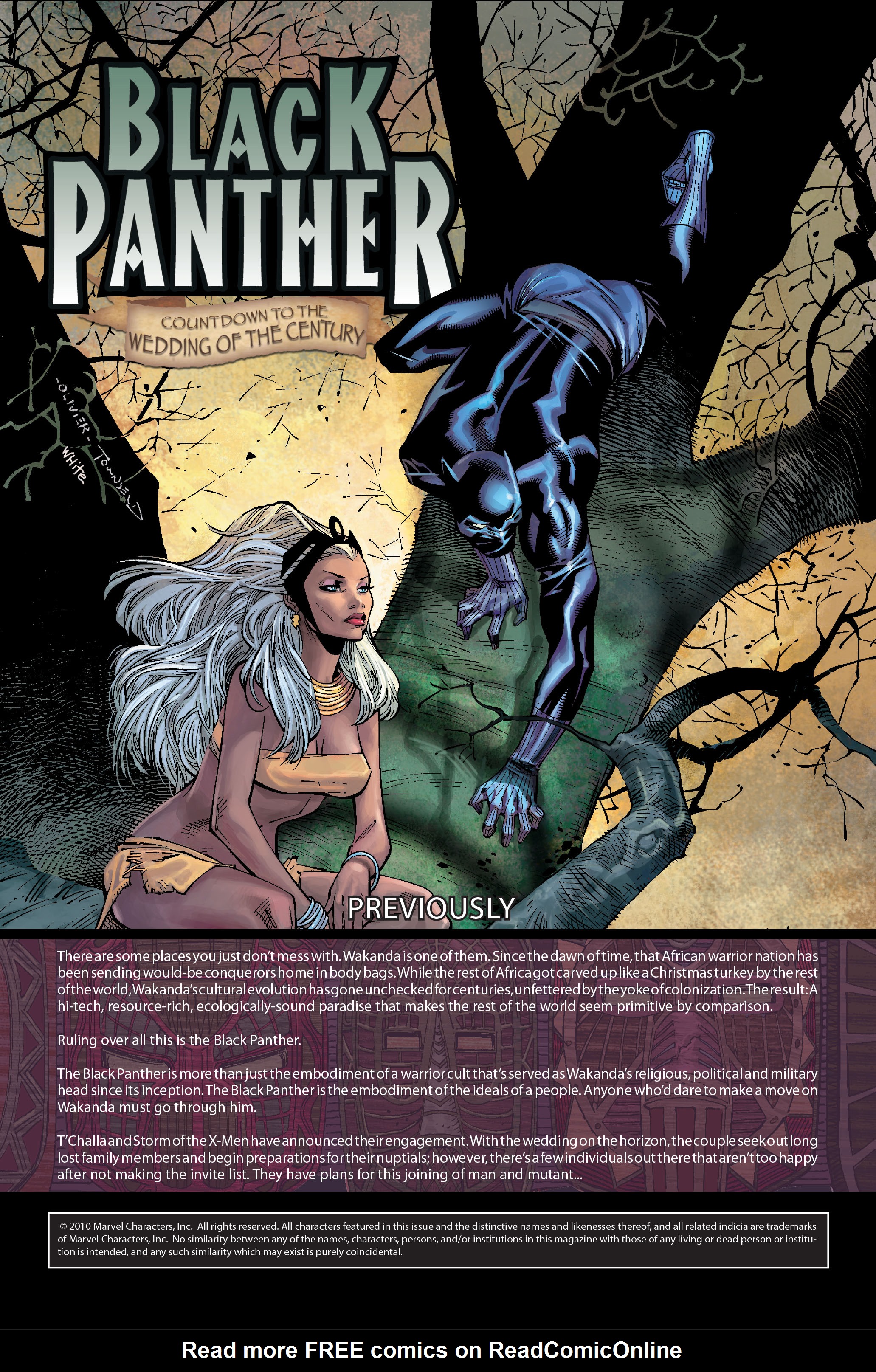 Read online Black Panther: The Bride comic -  Issue # TPB - 78