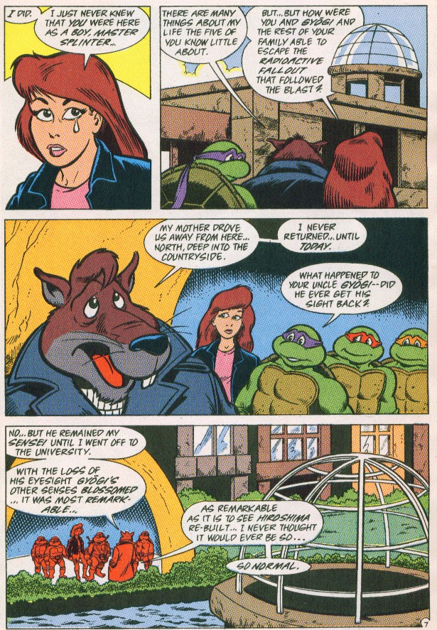 Read online Teenage Mutant Ninja Turtles Adventures (1989) comic -  Issue #29 - 8